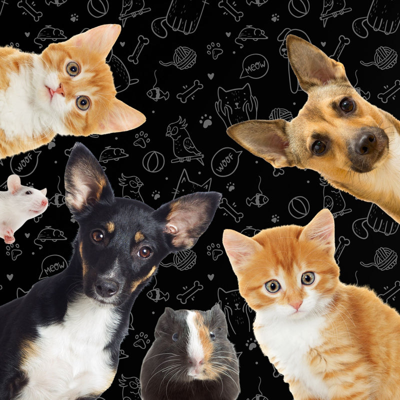 Pet Products